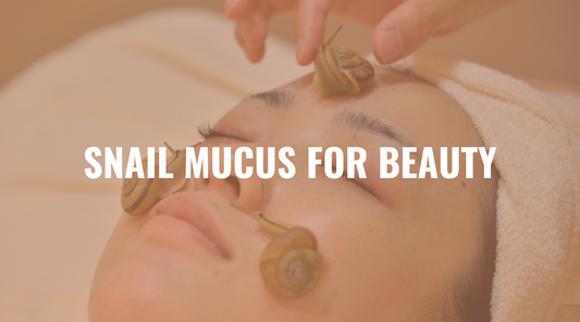The Beauty of Snail Mucus: A Makeup Artist’s Perspective